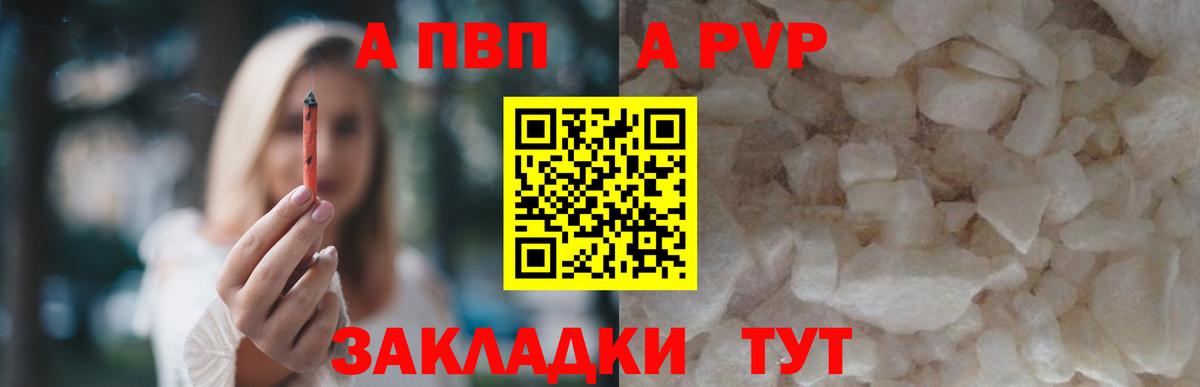A-PVP СК Сальск