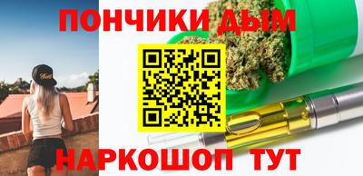 крисы Можга