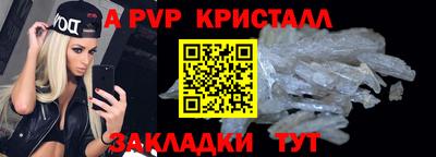 крисы Можга