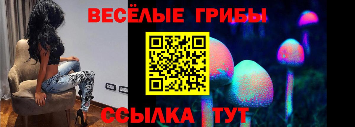 Псилоцибиновые грибы GOLDEN TEACHER  Псилоцибиновые грибы ЛСД  Вход с VPN  сколько стоит  Сальск 