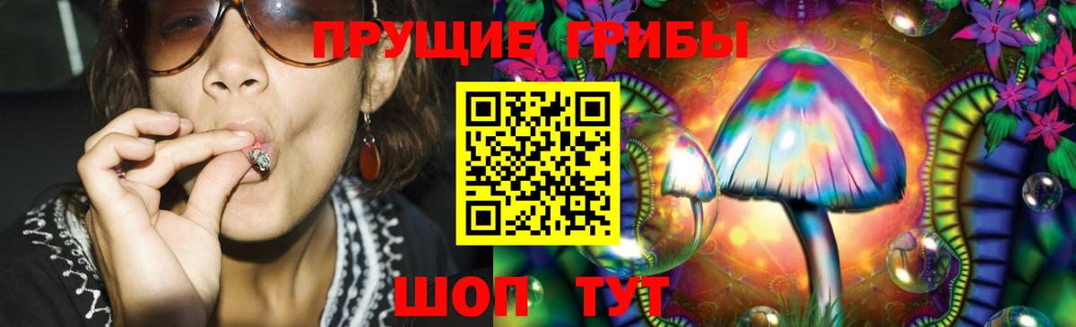 Галлюциногенные грибы GOLDEN TEACHER Сальск